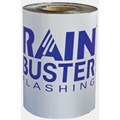 RainBuster 420